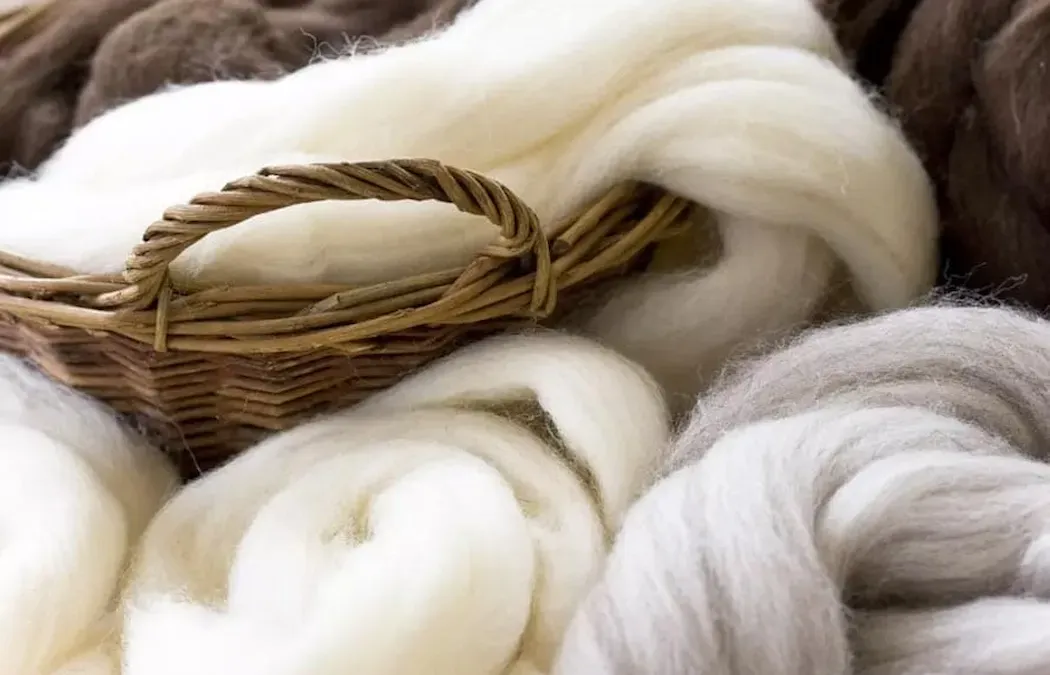 آشنایی با موهر و کشمیر یکی از الیاف حیوانی