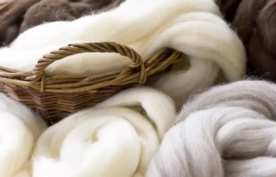 آشنایی با موهر و کشمیر یکی از الیاف حیوانی